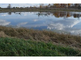 Property photo 38 - 127 Acres Offered in 8 Tracts - Allen & Dekalb County Land